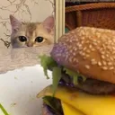 Catburger catburger Discord Emoji