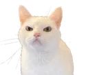 Cat3 cat3 Discord Emoji