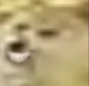 cofert cofert