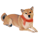 :Shiba: