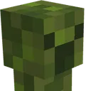 pogmoss