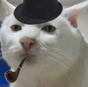 mouss