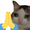 Sadcatpray Discord Emoji