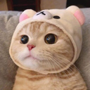 catstare Discord emoji