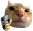 swagcat_gun