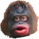 monkee Discord emoji