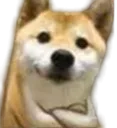 DoggyWait