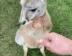 handshake