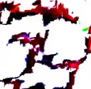 zoteintensex5