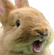 pogbun