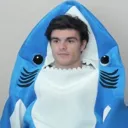 sharkystare