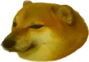 cheems