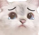 SadCat