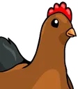 chickenR chickenR