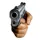 gun