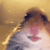 MEMES Discord emoji