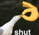 Shut