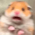 AAAAH