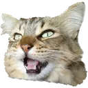QuizStoked QuizStoked
