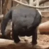 monke_buttslap monke_buttslap