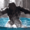 monke_celebrate Discord emoji