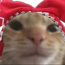 reimuswag