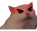 GatoEnojao_Dw Discord emoji