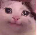 crycatpen
