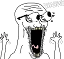 SOYWAOW1