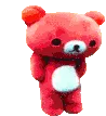 star_bear_vibe