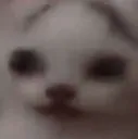 bruh