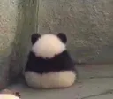 omenpanda