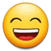 samsunghappyeyebrows Discord Emoji