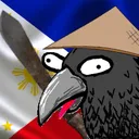 Philippine_Crow