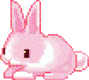 bunny