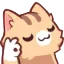 cat_ok cat_ok