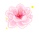 pinku_floweru