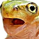 frogpogl Discord Emoji