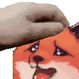 foxpat