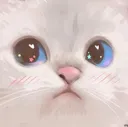 kitty_sus