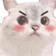 catBAKA