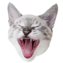 BBSS_kek_hugo BBSS_kek_hugo