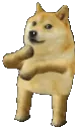 7241dogedance