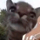 hello Discord emoji