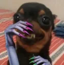 AHBAHBHA AHBAHBHA
