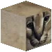 FloppaCube