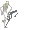 capoeira