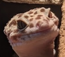 excuseme Discord emoji