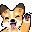 corgWAVE