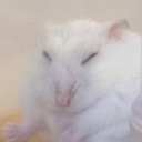 aoughhh Discord emoji